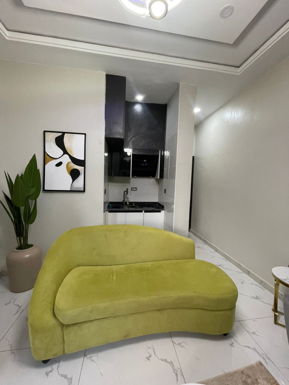 One Bedroom Apartment